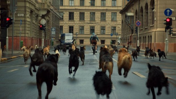 2015'in en iyi filmleri - 19