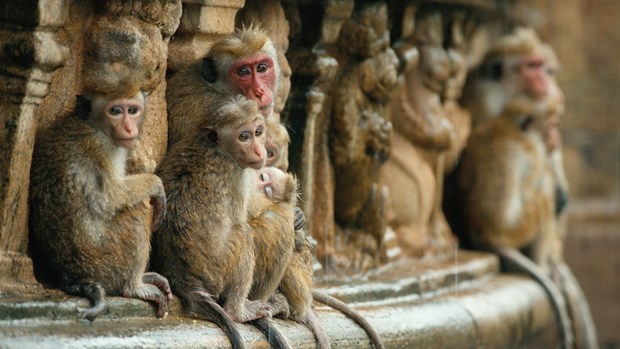 2015'in en iyi filmleri - 29