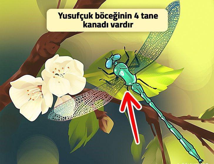 Bu resimdeki hataları görünce şaşıracaksınız - 14