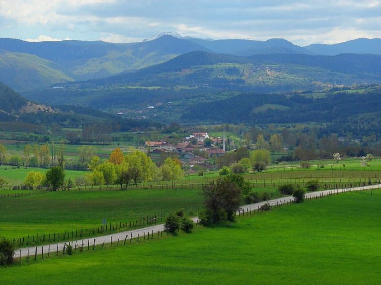 İstanbul'da en çok hangi ilden insan yaşıyor - 73