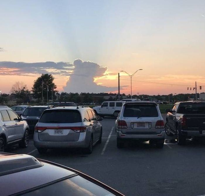 Fotoğraflardaki detaylar şaşırttı - 1