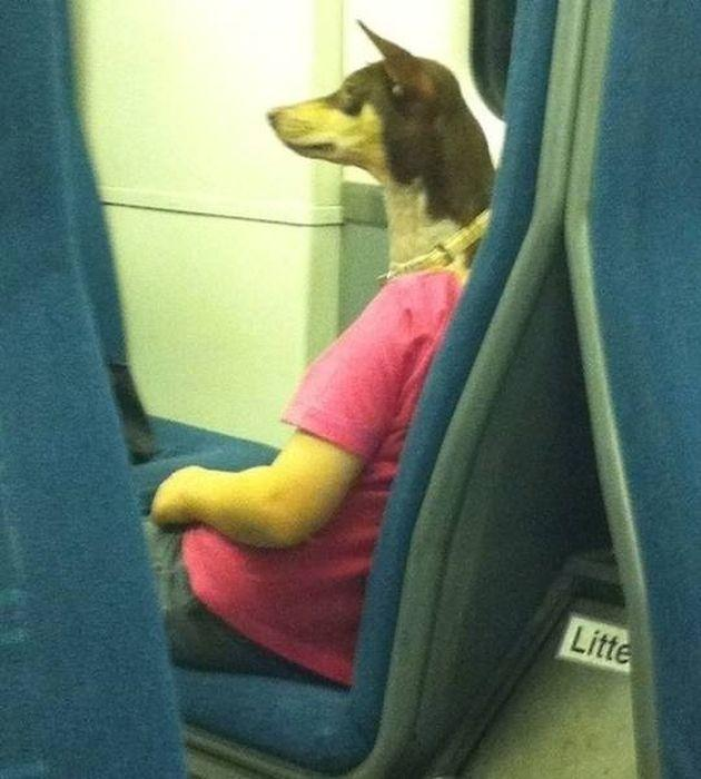 Fotoğraflardaki detaylar şaşırttı - 5