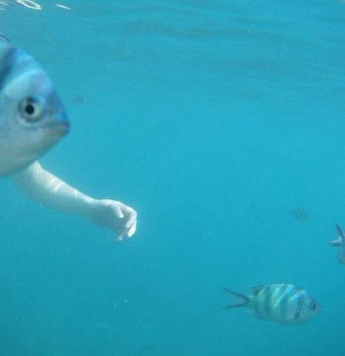 Fotoğraflardaki detaylar şaşırttı - 7