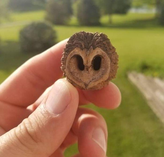 Fotoğraflardaki detaylar şaşırttı - 11