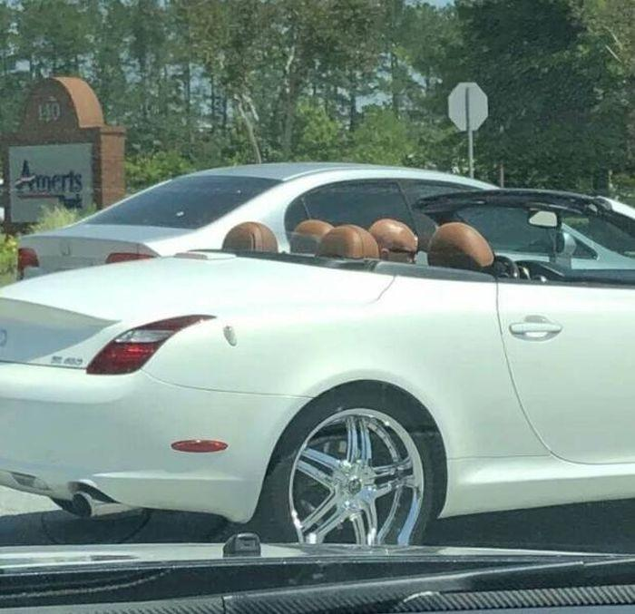 Fotoğraflardaki detaylar şaşırttı - 13