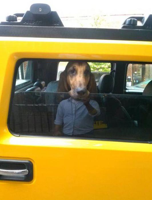 Fotoğraflardaki detaylar şaşırttı - 18