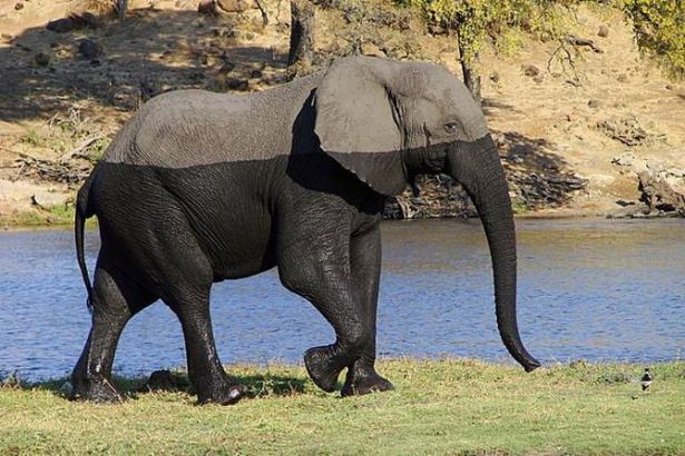 Fotoğraflardaki detaylar şaşırttı - 20