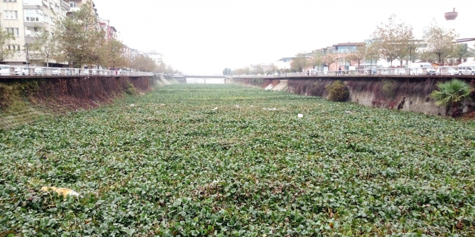 Asi Nehrini istila ettiler - 1