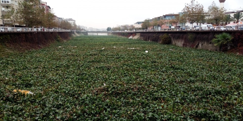 Asi Nehrini istila ettiler - 4