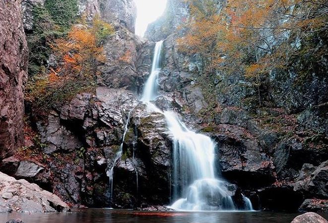 Yalova Çınarcık'ın Ken Ormanında sonbahar - 3