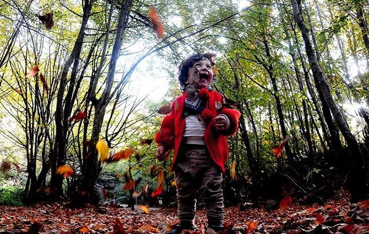 Yalova Çınarcık'ın Ken Ormanında sonbahar - 4