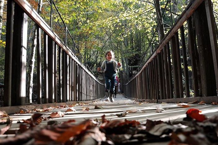 Yalova Çınarcık'ın Ken Ormanında sonbahar - 1