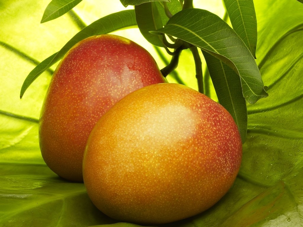 Mango hakkındaki bu bilgileri duyunca şaşıracaksınız - 3