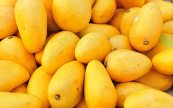 Mango hakkındaki bu bilgileri duyunca şaşıracaksınız - 5