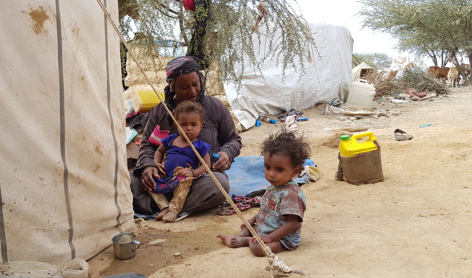 Sadakataşı Derneğinden Yemen'e yardım - 4