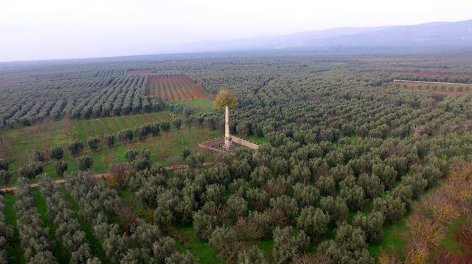 2 bin yıldır ayakta duran dikilitaş - 8