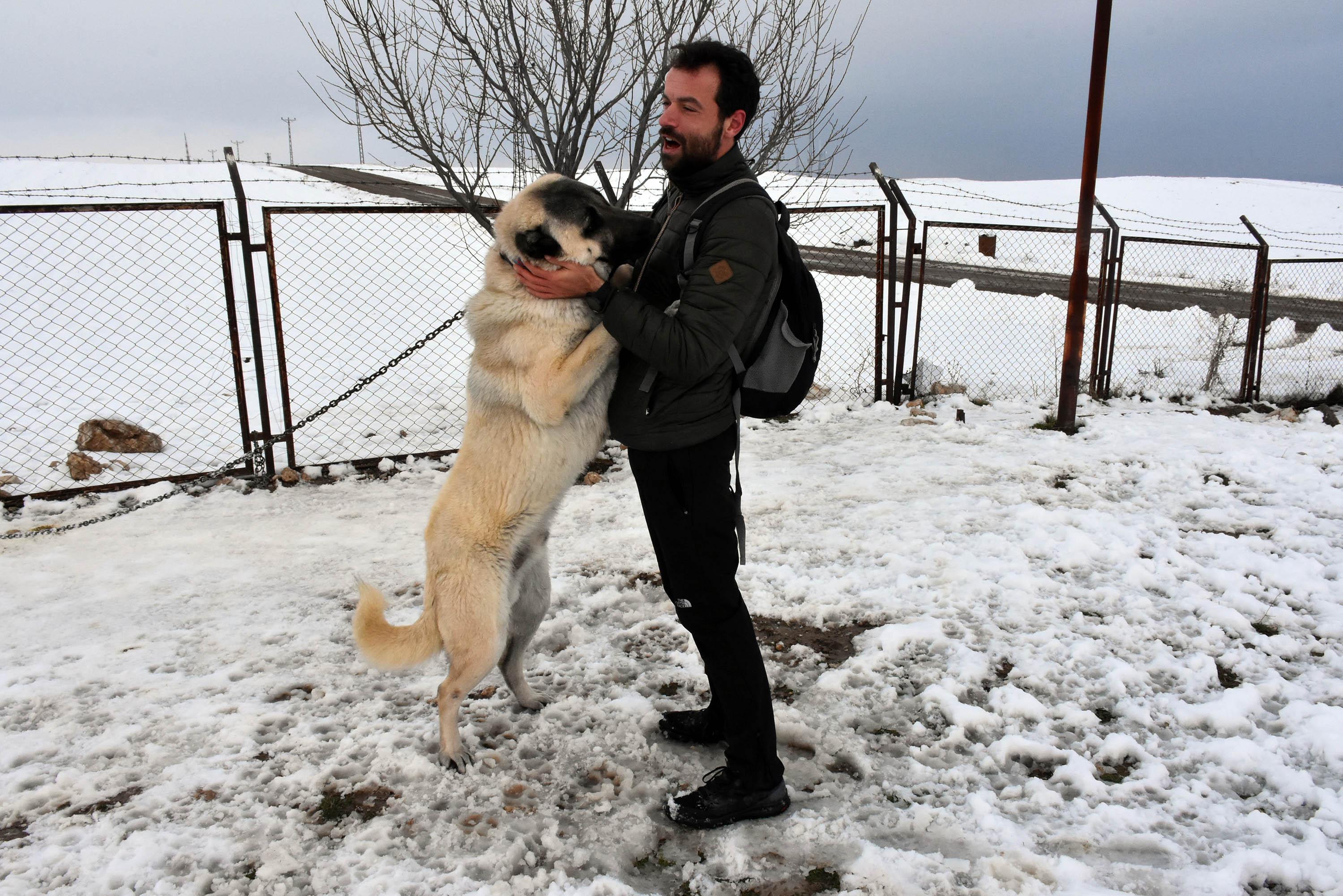 İtalya'dan Türkiye'ye kangal için geldiler - 4