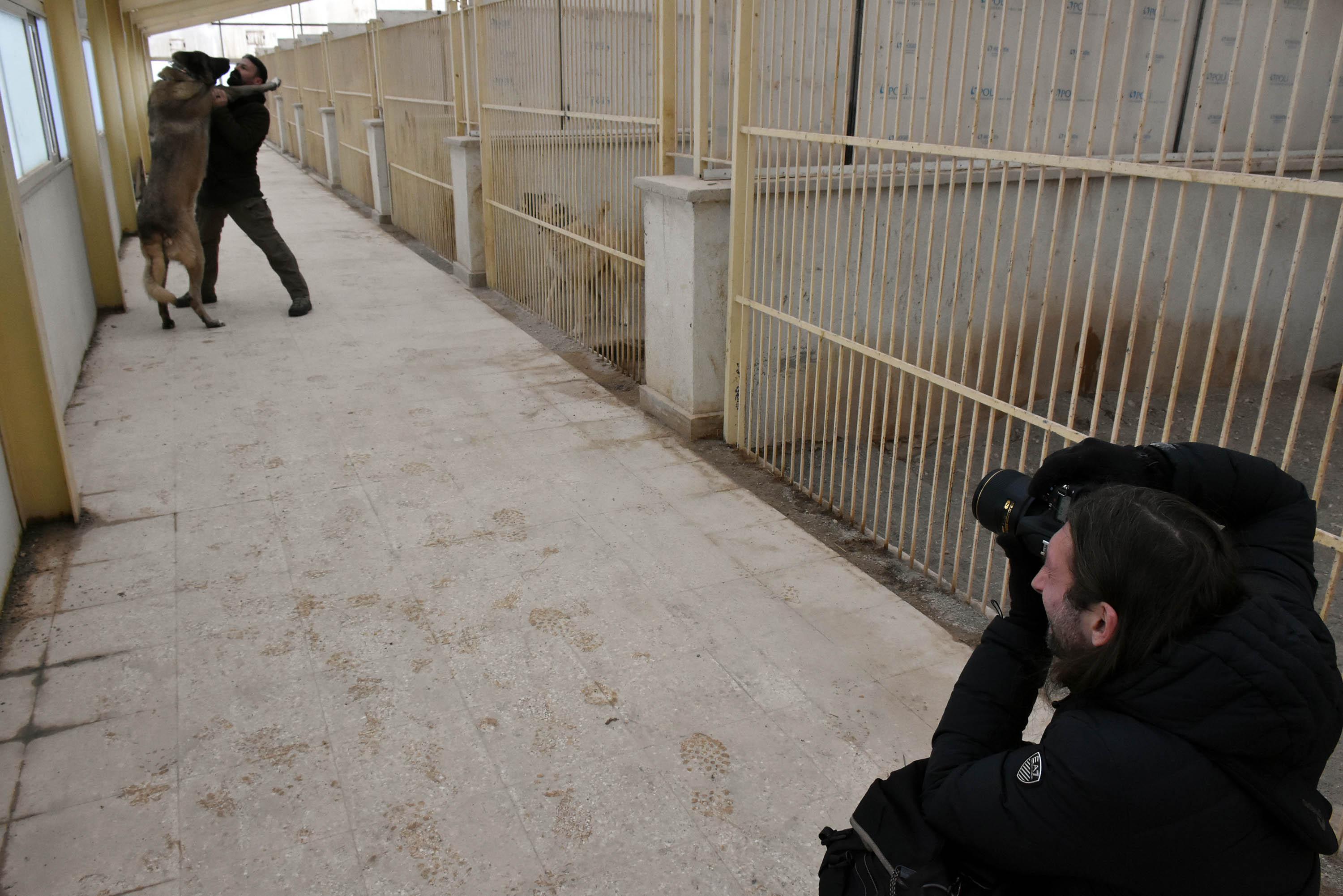 İtalya'dan Türkiye'ye kangal için geldiler - 10