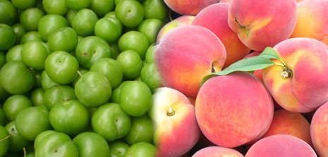 Birlikte yenmemesi gereken besinler - 4