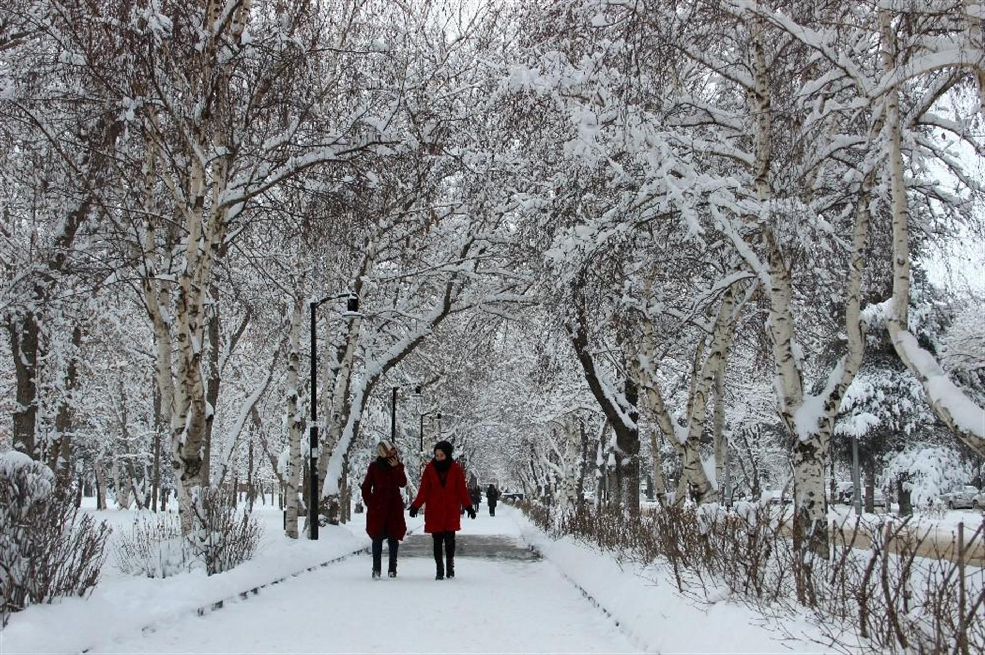 Meteoroloji'den soğuk hava uyarısı - 7