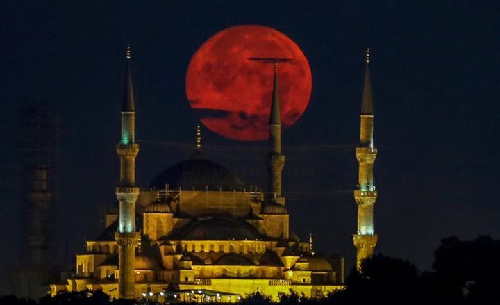 Yılın fotoğrafları oylaması sonuçlandı: İşte dereceye giren fotoğraflar - 9