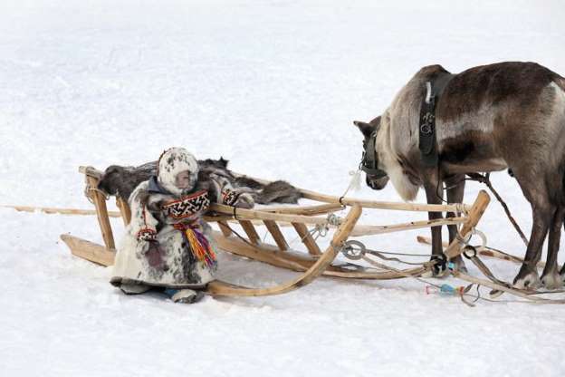 Dünyanın en soğuk bölgesinde ilginç yaşam - 9