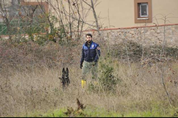 Bakanlık, Palu ailesinin dehşet verici olayına el attı - 5