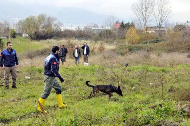 Bakanlık, Palu ailesinin dehşet verici olayına el attı - 7