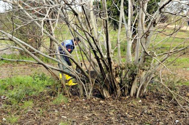 Palu ailesi için canlı yayında gözaltı kararı alındı - 18