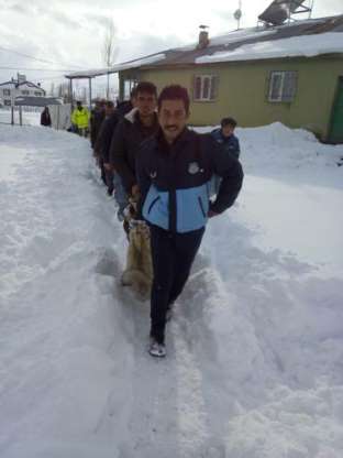 Muş'ta köylülerin yakaladığı kurdu kaymakam serbest bıraktı - 6