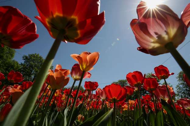2018'de dünyada meydana gelen en güzel hava olayları - 19