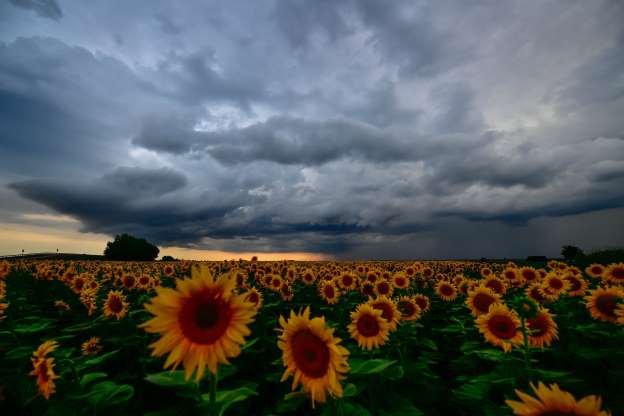 2018'de dünyada meydana gelen en güzel hava olayları - 29