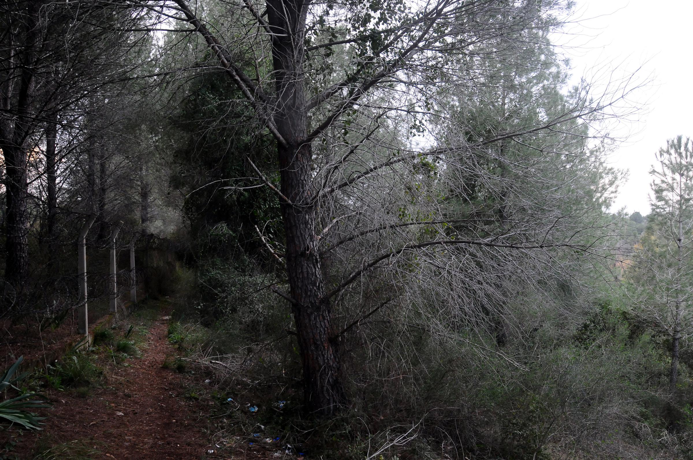 El şakası yapan arkadaşını bıçaklayarak öldürdü - 2