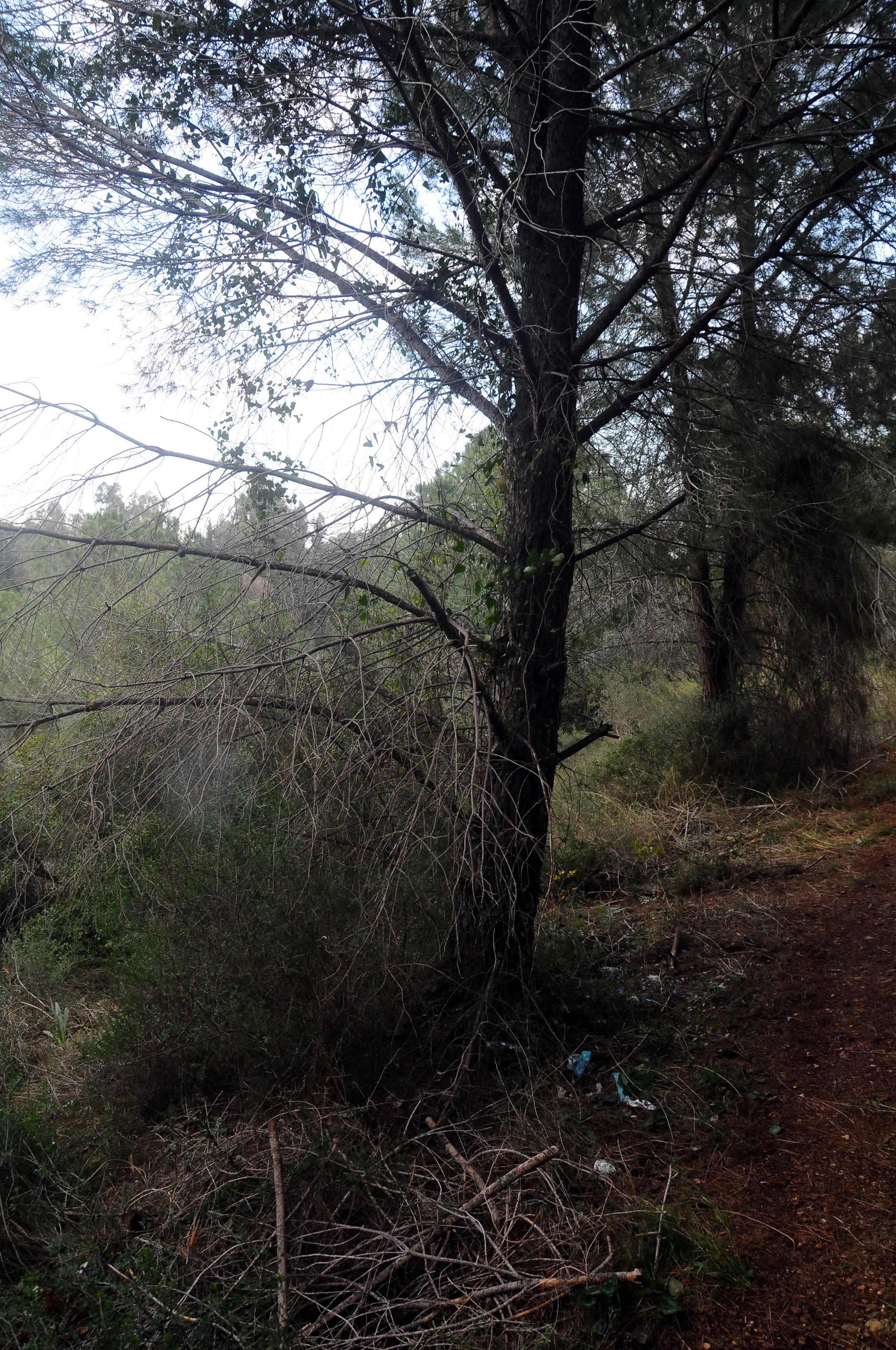 El şakası yapan arkadaşını bıçaklayarak öldürdü - 3