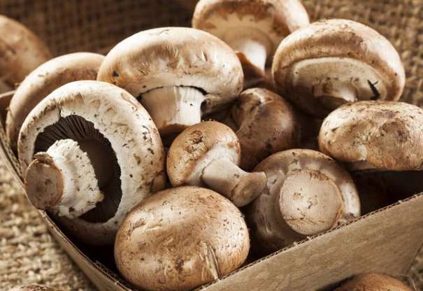 Bağışıklığı güçlendiren yiyecekler - 2