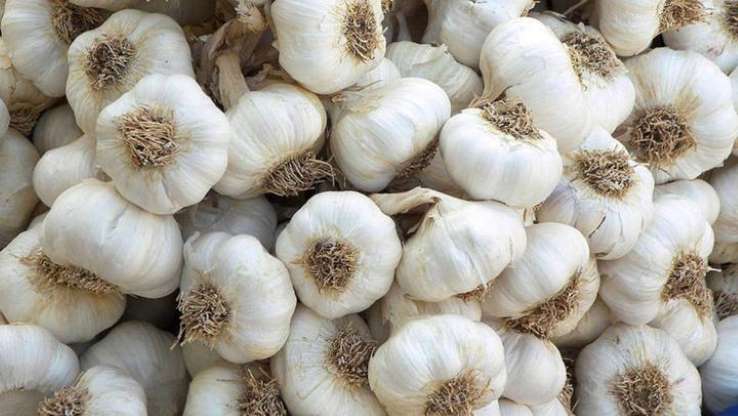 Bağışıklığı güçlendiren yiyecekler - 3