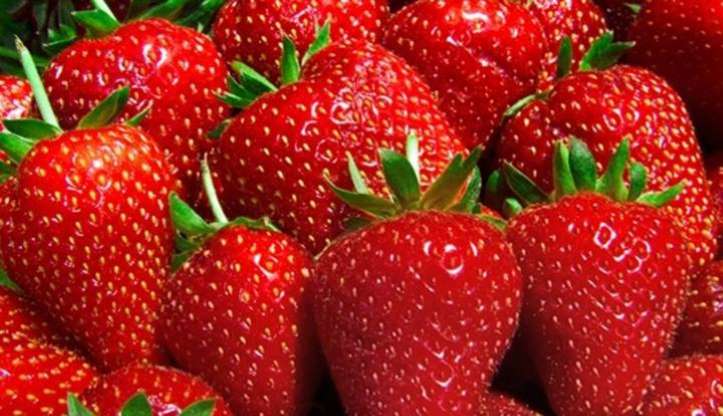 Bağışıklığı güçlendiren yiyecekler - 10