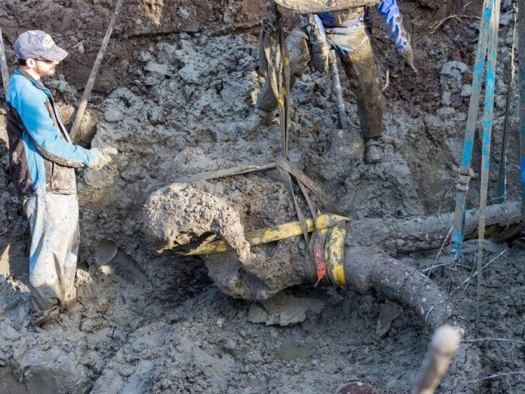 Tarla sürerken sıra dışı bir keşfe imza attılar - 4