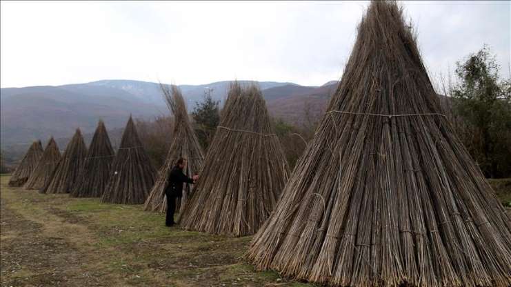Kastamonu 100 metre karelik dükkanda ürettiği keneviri Amerika'ya satıyor - 3