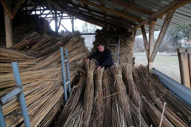Kastamonu 100 metre karelik dükkanda ürettiği keneviri Amerika'ya satıyor - 4