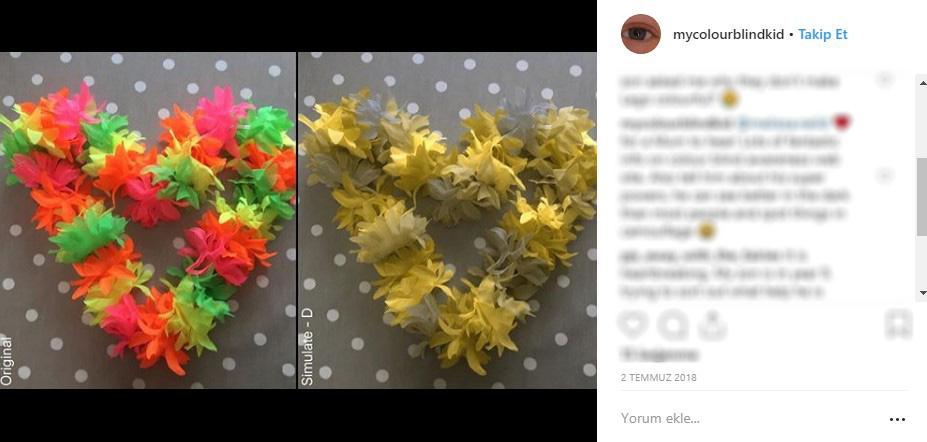 Renk körü insanlar renkleri böyle görüyor - 2