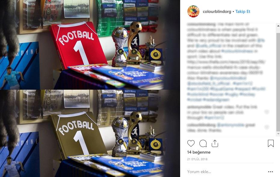 Renk körü insanlar renkleri böyle görüyor - 3