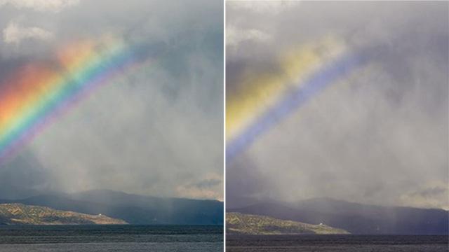Renk körü insanlar renkleri böyle görüyor - 1