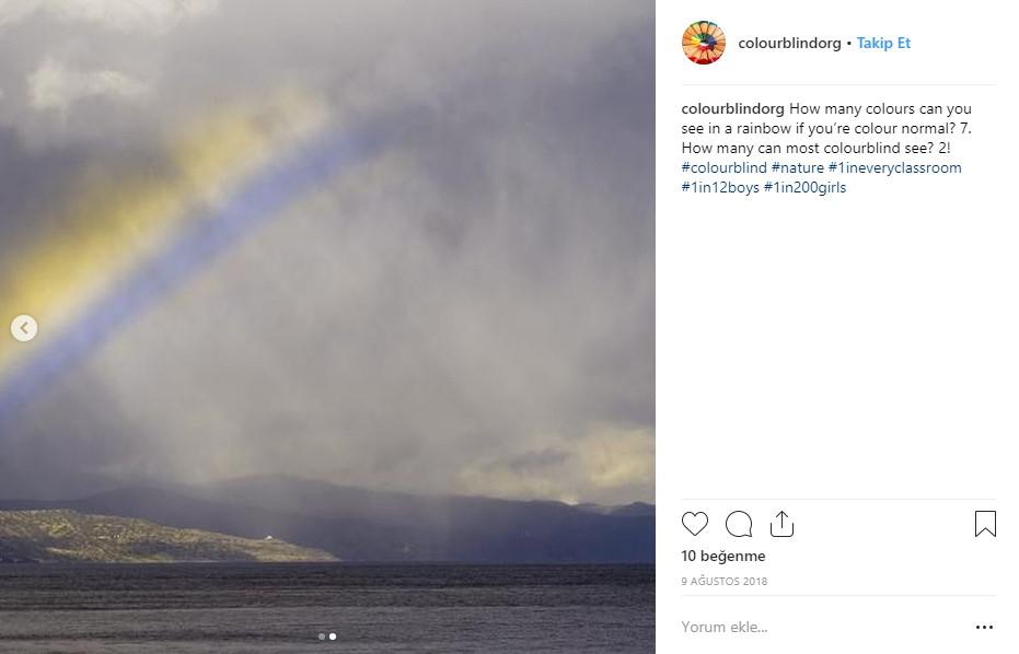 Renk körü insanlar renkleri böyle görüyor - 5