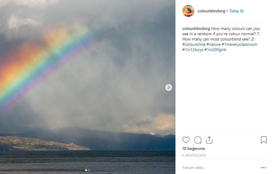 Renk körü insanlar renkleri böyle görüyor - 4