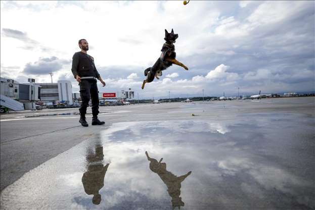 Kaçakçıların korkulu rüyası: Maddox - 3