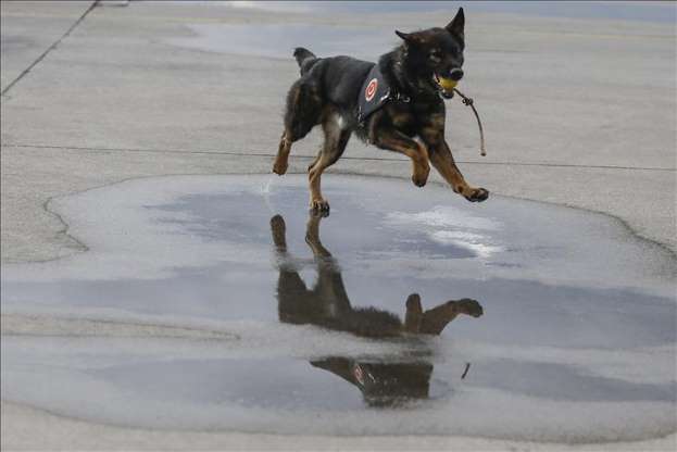 Kaçakçıların korkulu rüyası: Maddox - 9