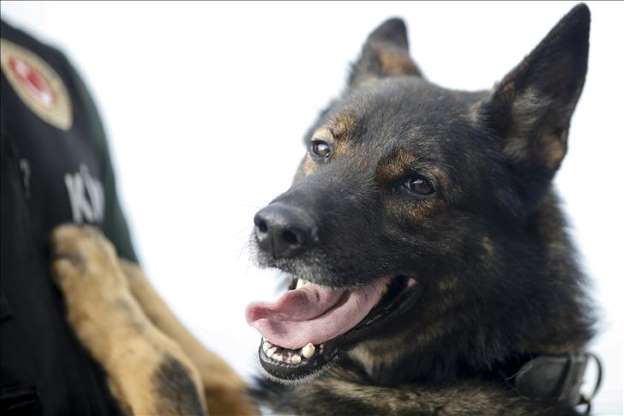 Kaçakçıların korkulu rüyası: Maddox - 11