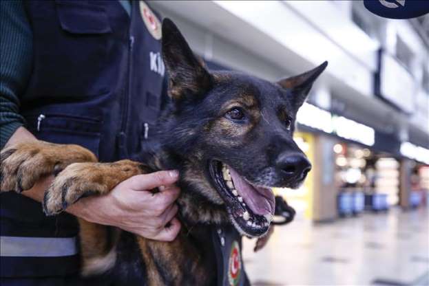 Kaçakçıların korkulu rüyası: Maddox - 14