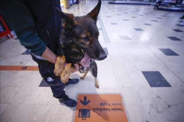 Kaçakçıların korkulu rüyası: Maddox - 15